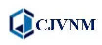 Logo CÔNG TY TNHH CJVNM